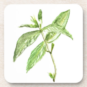 Posavasos Hierba de menta