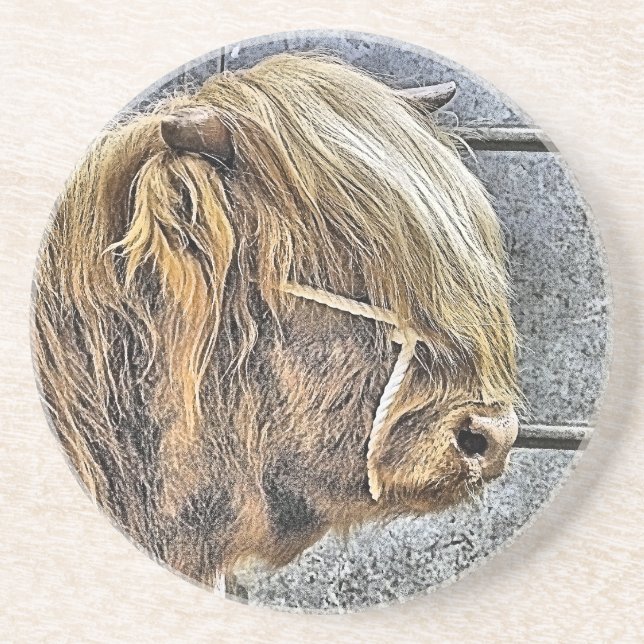POSAVASOS HIGHLAND COW (Frente)