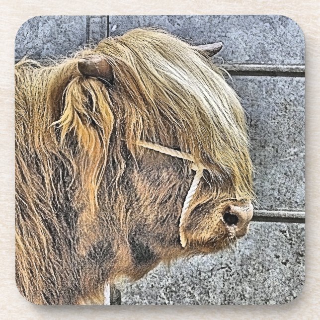 POSAVASOS HIGHLAND COW (Frente)