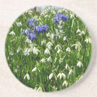 Posavasos Hillside of Early Spring Flowers Landscape