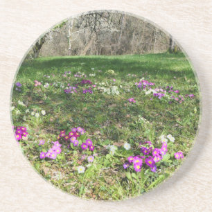 Posavasos Hinchera de la primavera