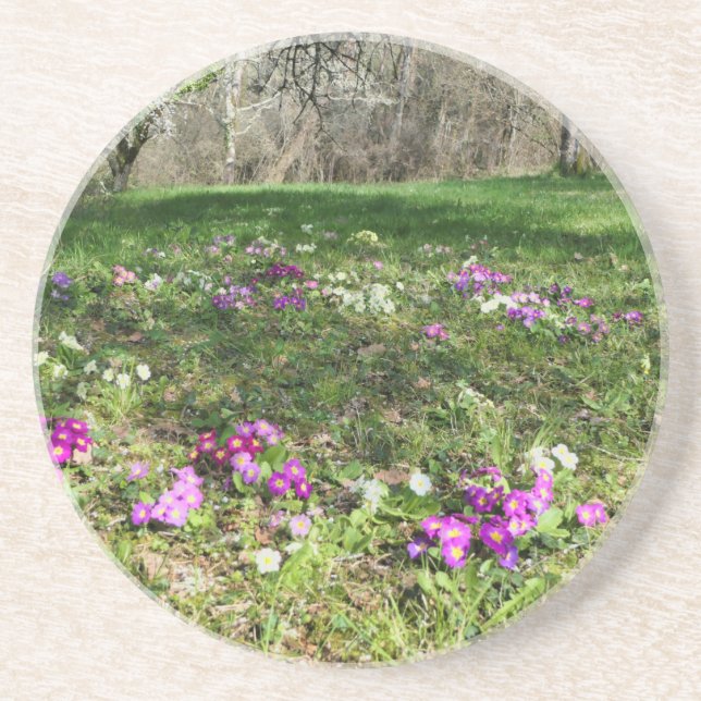 Posavasos Hinchera de la primavera (Frente)