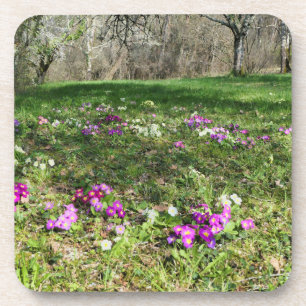 Posavasos Hinchera de la primavera