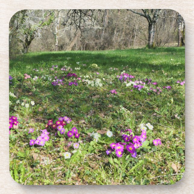 Posavasos Hinchera de la primavera (Frente)
