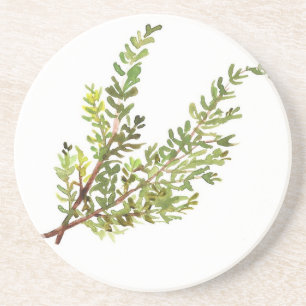 Posavasos Hipercolar Rosemary