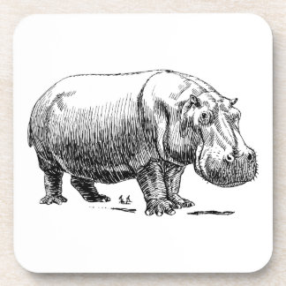 Posavasos Hippopotamus