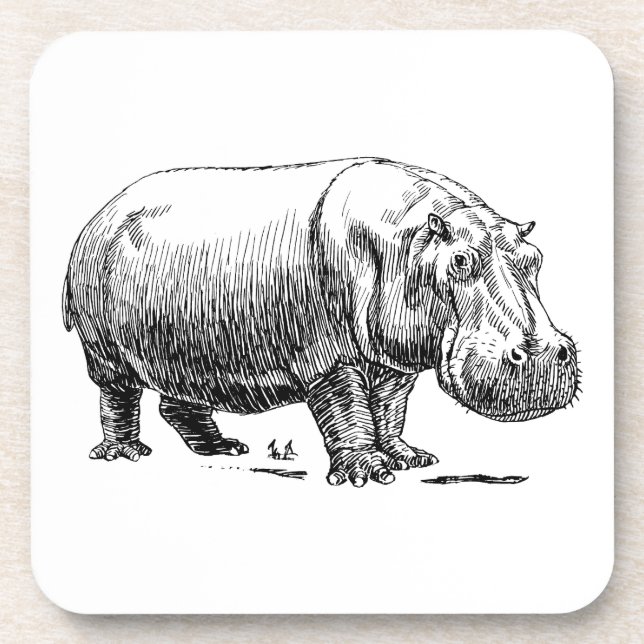 Posavasos Hippopotamus (Frente)
