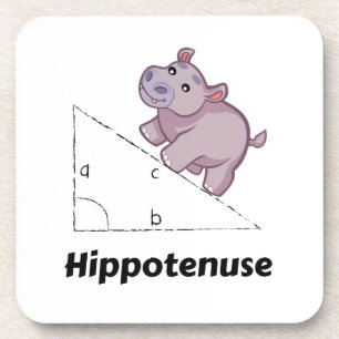 Posavasos Hippotenuse Funny Math