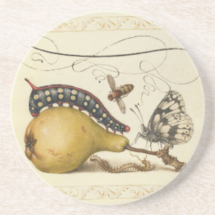 Posavasos Hoefnagel Vintage Pera & Insectos 1500s Renacimien