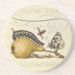 Posavasos Hoefnagel Vintage Pera & Insectos 1500s Renacimien