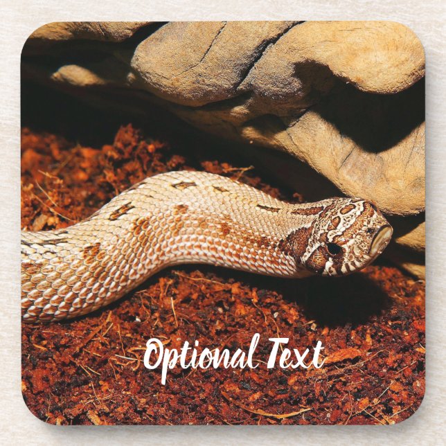 Posavasos Hognose Mascota Snake (Frente)