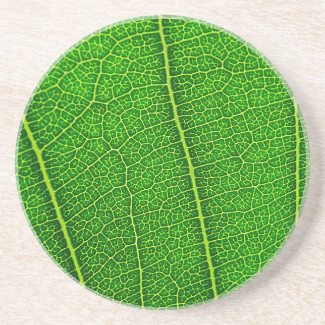 Posavasos Hoja (Frente)