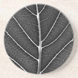 Posavasos Hoja brillante en blanco y negro en primer plano