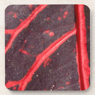 Posavasos Hoja de Hawaití con la vena roja 3
