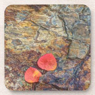 Posavasos Hoja de otoño en el rock, California