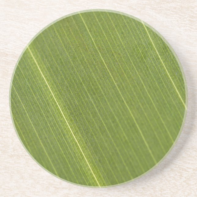 Posavasos Hoja de palmera (Frente)