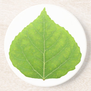 Posavasos Hoja verde de lápiz #11