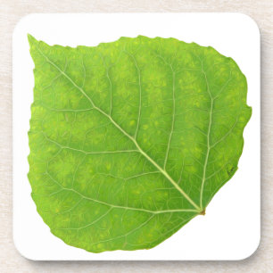 Posavasos Hoja verde de lápiz #11
