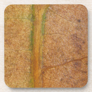 Posavasos Hojas caídas 11