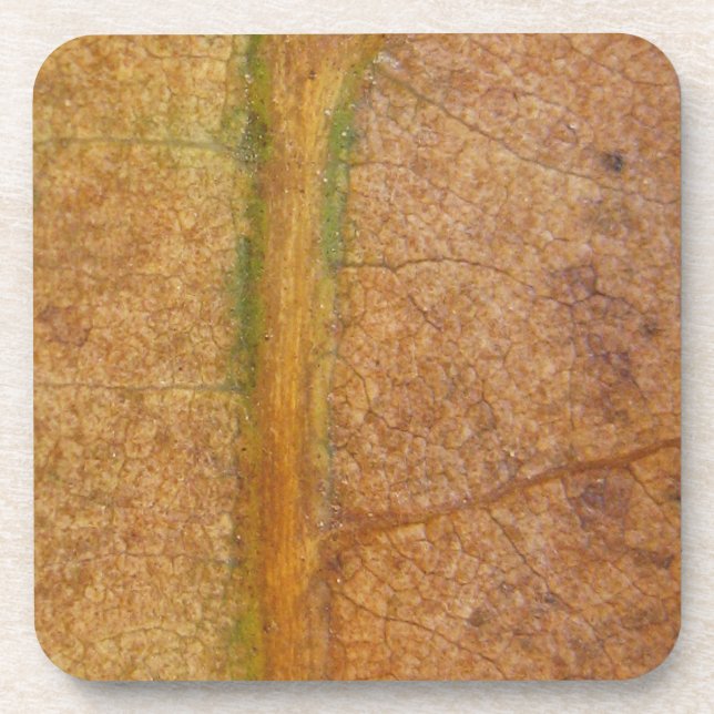 Posavasos Hojas caídas 11 (Frente)