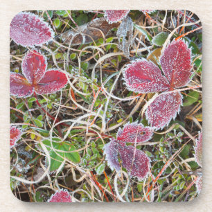 Posavasos Hojas cubiertas de escarcha, Canadá