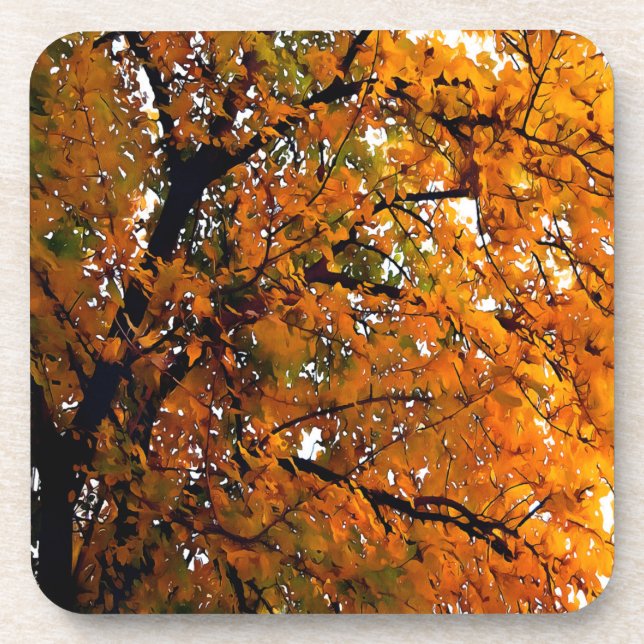 Posavasos Hojas de Amber en otoño (Frente)