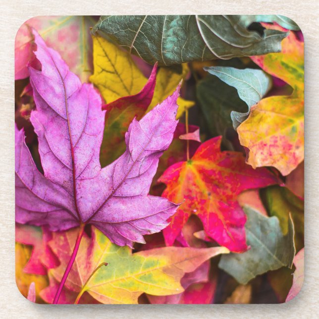 Posavasos Hojas de arce de otoño coloridas naturaleza otoñal (Frente)