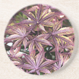 Posavasos Hojas de arce japonesas