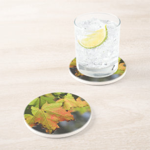 Posavasos Hojas de caída coloridas