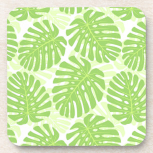 Posavasos Hojas de la planta tropical - modelo de Monstera
