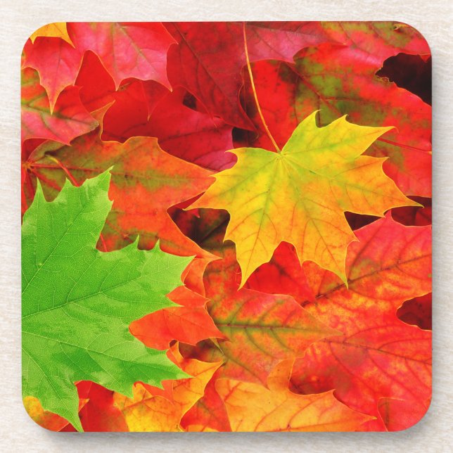 Posavasos Hojas de otoño (Frente)