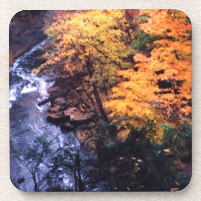 Posavasos Hojas de otoño con río (Frente)