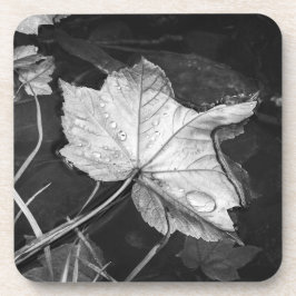 Posavasos Hojas de otoño en un estanque negro y blanco