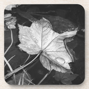 Posavasos Hojas de otoño en un estanque negro y blanco