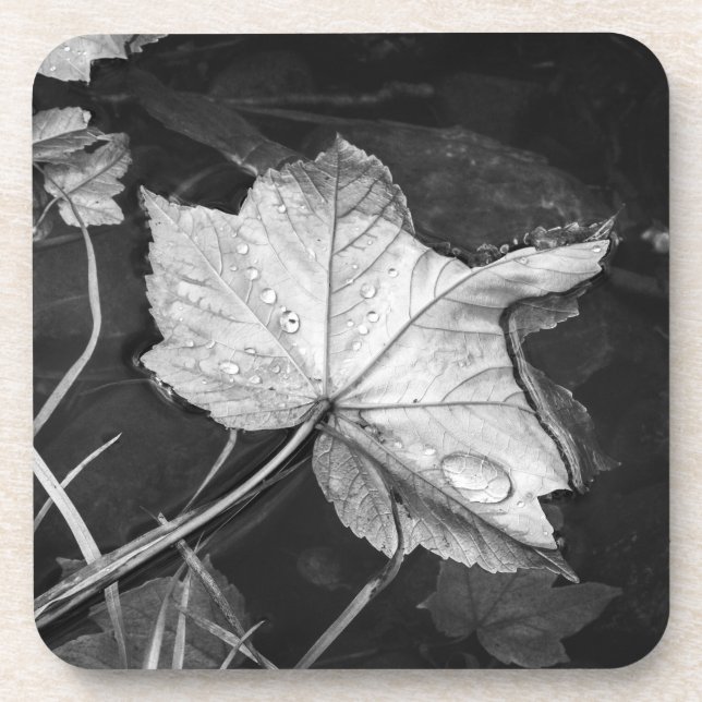 Posavasos Hojas de otoño en un estanque negro y blanco (Frente)