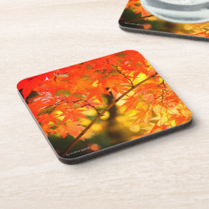 Posavasos Hojas de otoño [Soporte de plástico duro]
