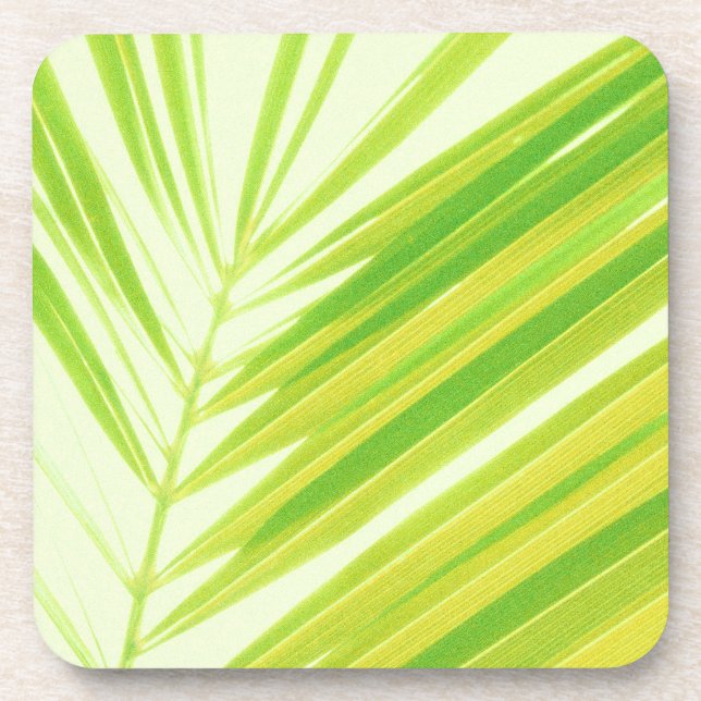 Posavasos Hojas de palma verde pálido (Frente)
