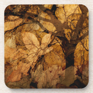 Posavasos Hojas doradas y marrones  Isla Merritt, FL