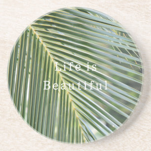 Posavasos Hojas Tropicales de Kauai (foto tomada por mí)