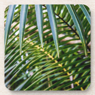 Posavasos Hojas tropicales verdes