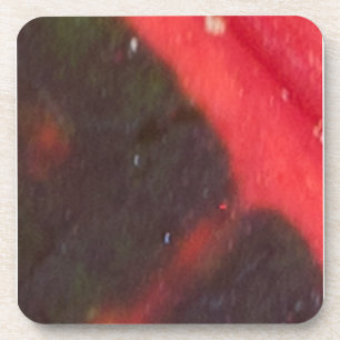 Posavasos Hojas variadas rojas y verdes de Hawai