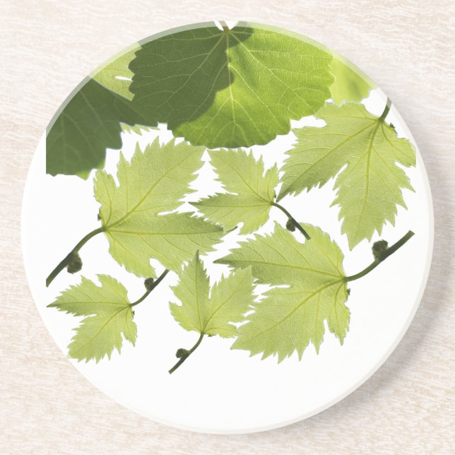 Posavasos Hojas verdes de vid de uva (Frente)