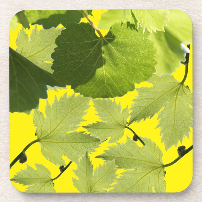 Posavasos Hojas verdes de vid de uva (Frente)