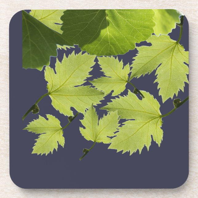 Posavasos Hojas verdes de vid de uva (Frente)