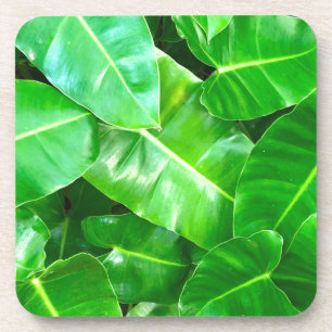 Posavasos Hojas verdes Palm Leaf selva tropical selva