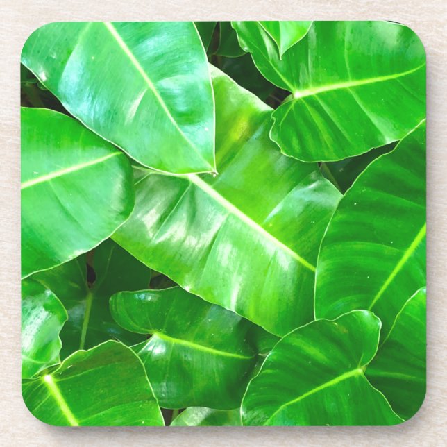 Posavasos Hojas verdes Palm Leaf selva tropical selva (Frente)