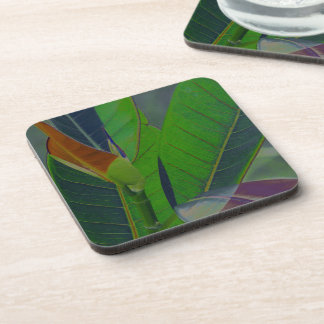 Posavasos Hojas Verdes Primer Plano