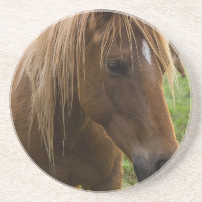 Posavasos Hola de caballo (Frente)