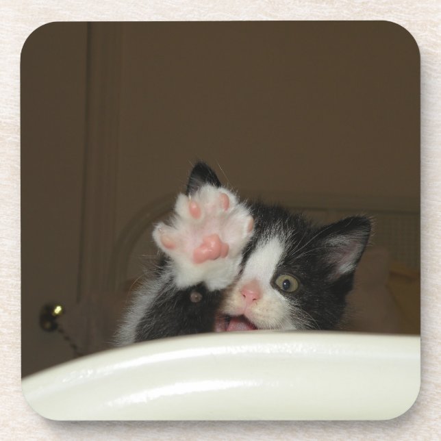 Posavasos ¡Hola Kitten! (Frente)