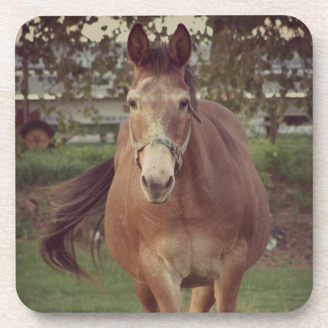 Posavasos Hola, te veo (Frente)